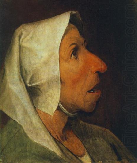 BRUEGEL, Pieter the Elder Portrait of an Old Woman  gfhgf china oil painting image